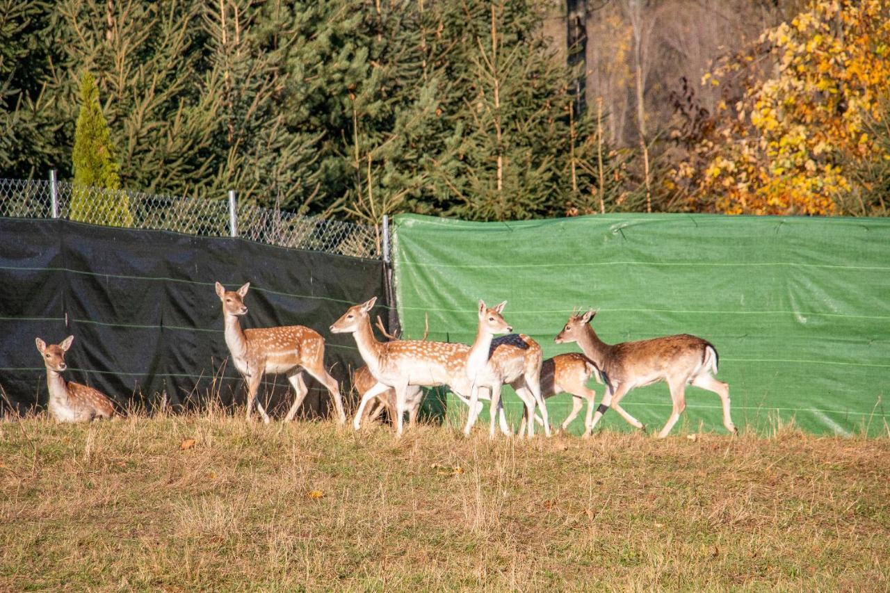 Grand Tatry - Miejsce Na Wyjatkowy Pobyt Dla Ciebie I Twojej Rodziny! - Sauna I Jacuzzi Wliczone W Cene Pobytu -10 Minut Pieszo Od Term Bania Białka Tatrzańska Exterior foto